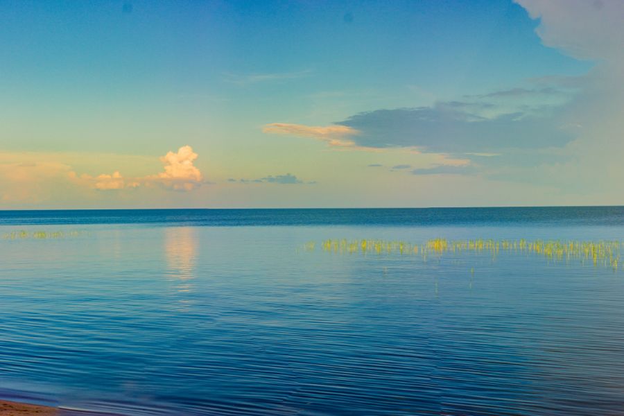 A Complete Guide to Driving Yourself Across the Bangweulu Wetlands