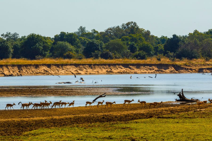 Everything Travellers Need to Know Before Driving Through Zambia’s Game Reserves