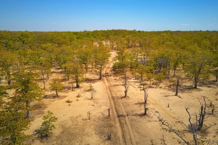 Safe and Smart Driving Tips Every Visitor to Zambia Should Know