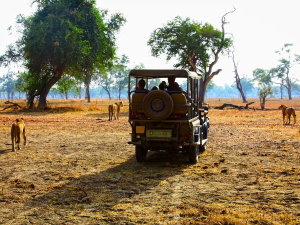 Everything Travellers Need to Know Before Driving Through Zambia’s Game Reserves